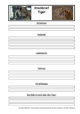 Tiger-Steckbriefvorlage.pdf